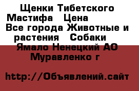 Щенки Тибетского Мастифа › Цена ­ 60 000 - Все города Животные и растения » Собаки   . Ямало-Ненецкий АО,Муравленко г.